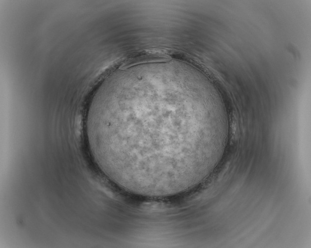 X0000115030211200911091350