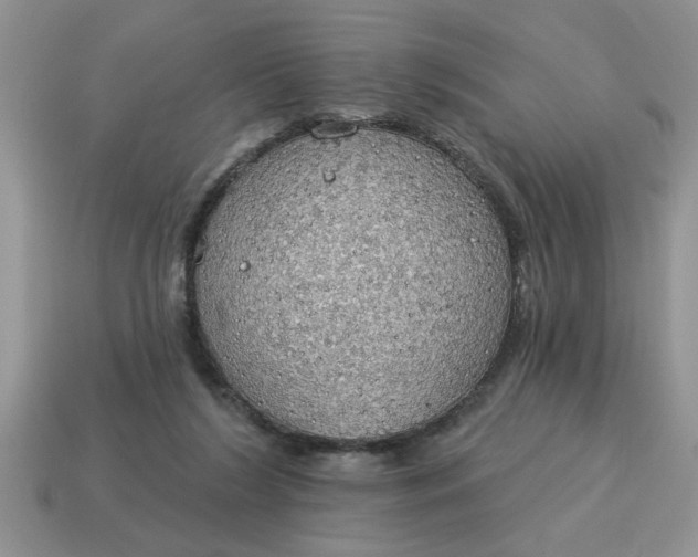 X0000115030212200911091350