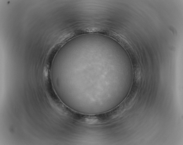 X0000115030214200911091350