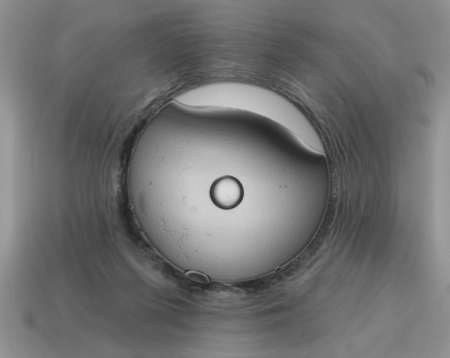 X0000115030215200911091350