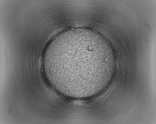 X0000115030216200911091350