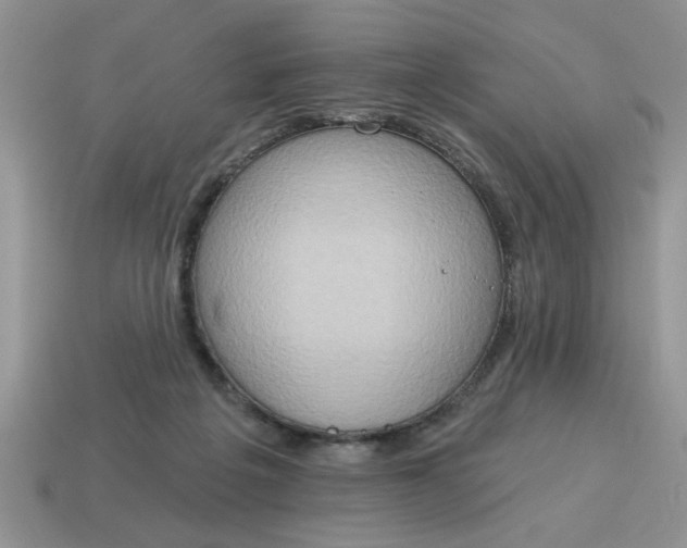 X0000115030217200911091350