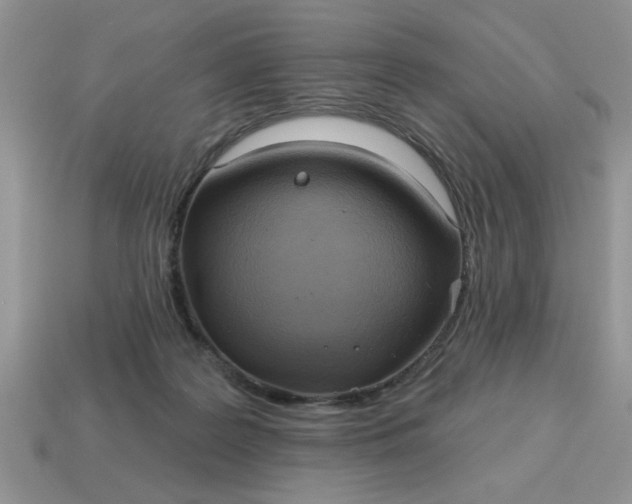 X0000115030219200911091350