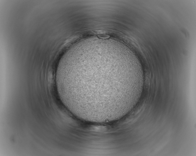 X0000115030220200911091350