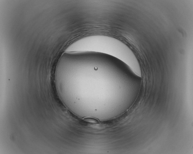 X0000115030221200911091350