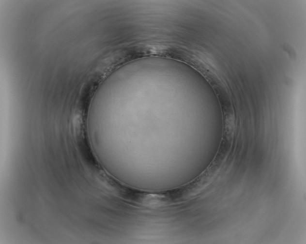 X0000115030222200911091350