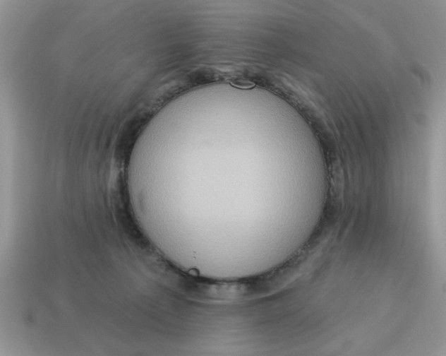X0000115030225200911091350