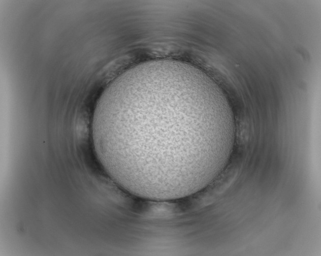 X0000115030226200911091350
