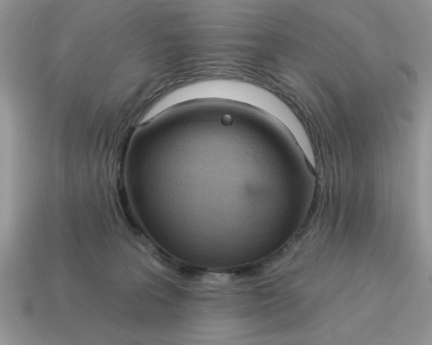 X0000115030227200911091350