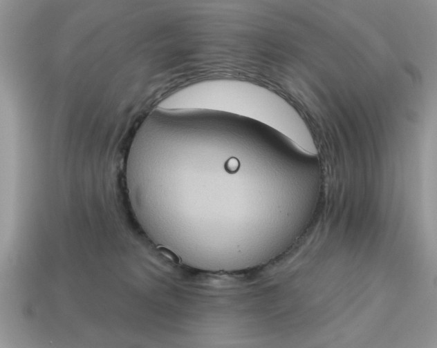 X0000115030229200911091350