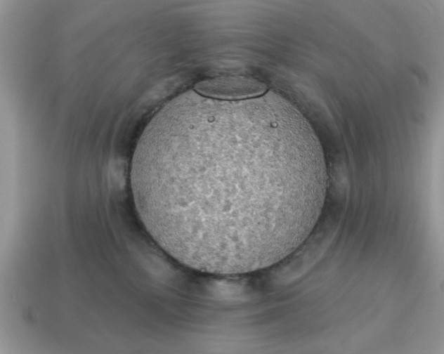 X0000115030232200911091350