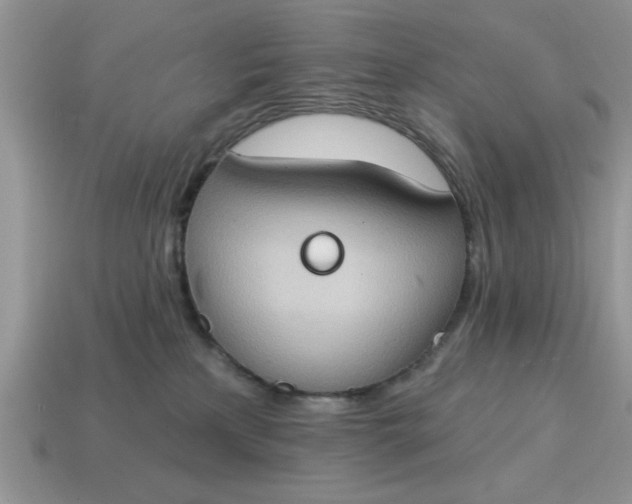 X0000115030233200911091350