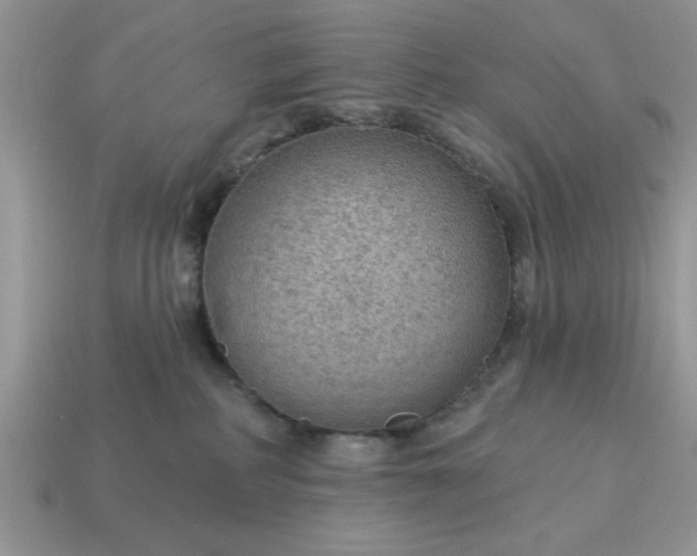 X0000115030234200911091350