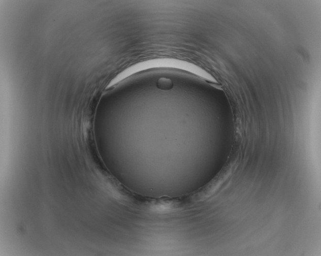 X0000115030235200911091350