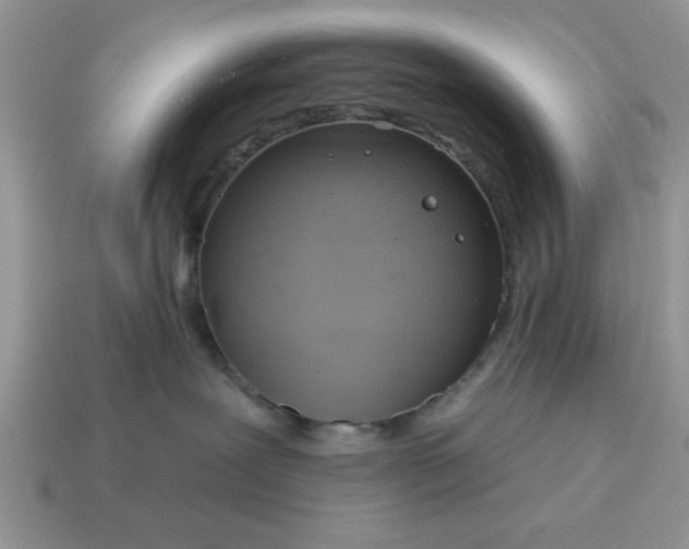 X0000115030239200911091350