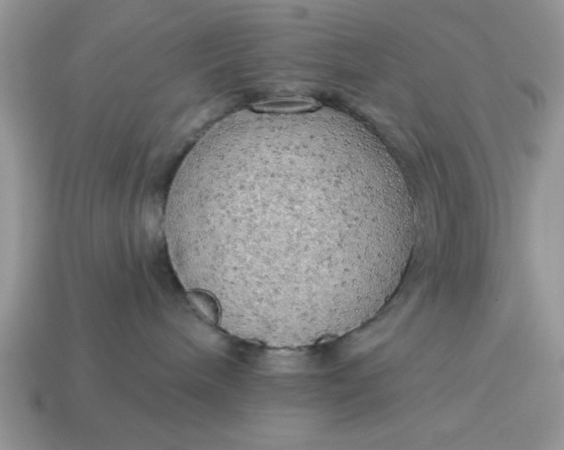 X0000115030240200911091350