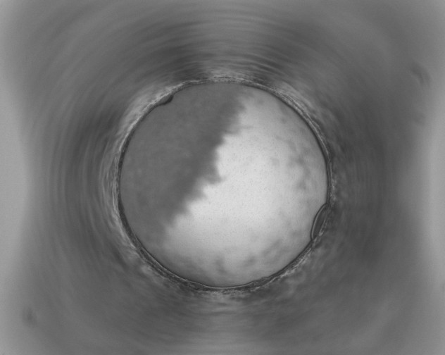 X0000115030241200911091349