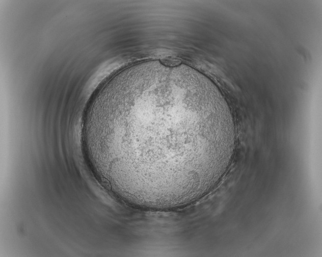 X0000115030242200911091349