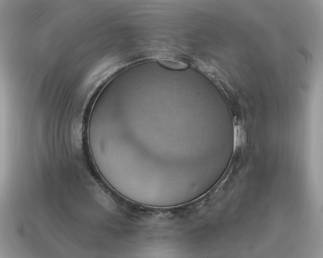 X0000115030243200911091349