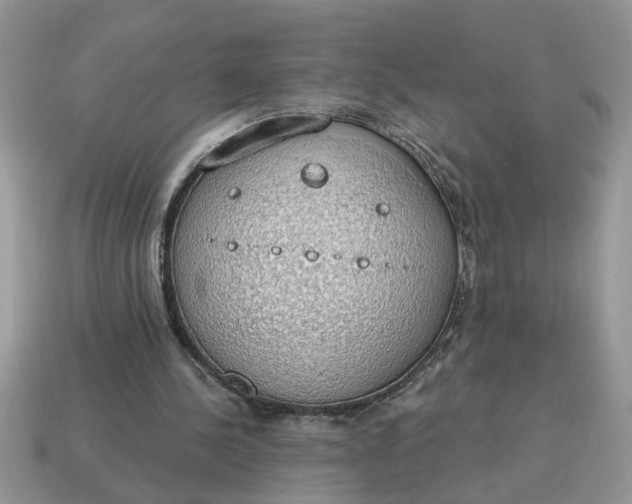 X0000115030244200911091349