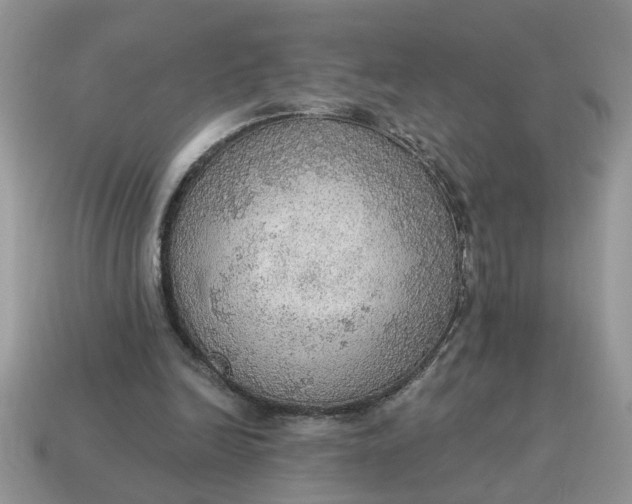 X0000115030246200911091349