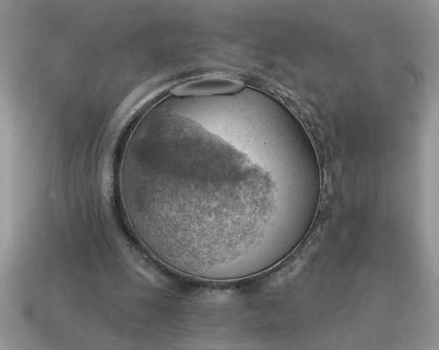 X0000115030247200911091349