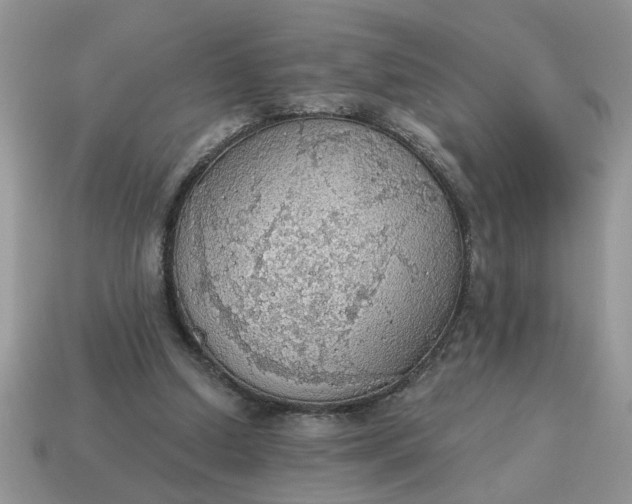 X0000115030250200911091349