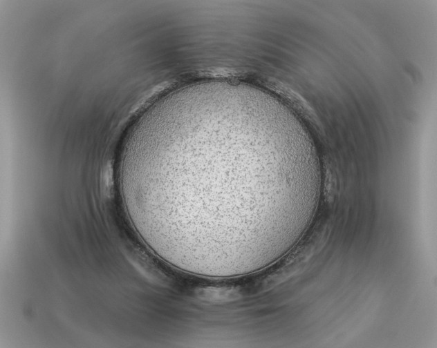 X0000115030251200911091349