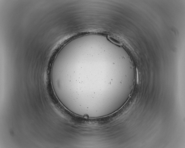 X0000115030252200911091349