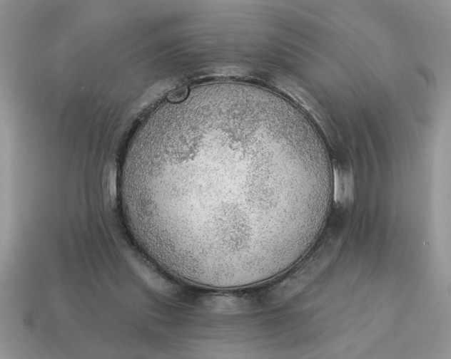 X0000115030253200911091349