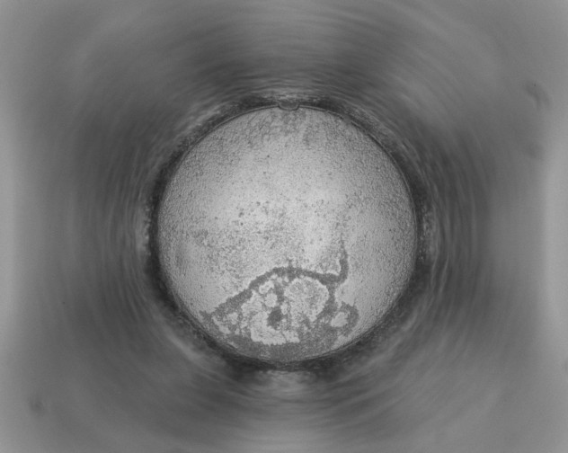 X0000115030255200911091349