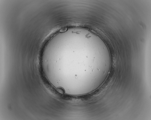 X0000115030256200911091349