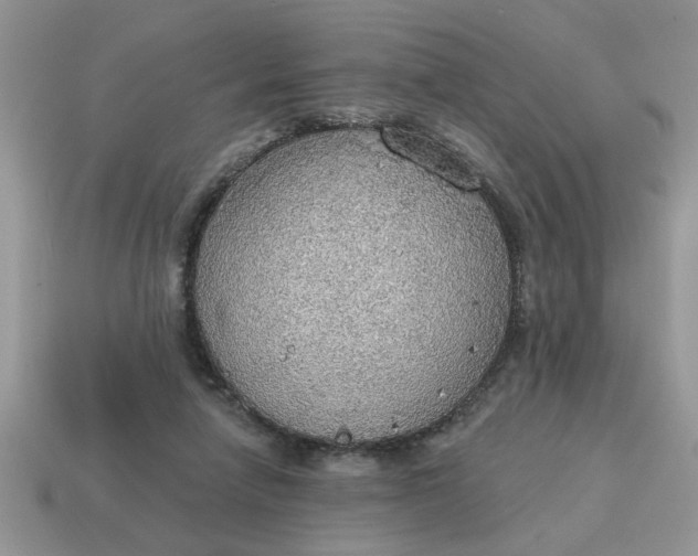 X0000115030258200911091349