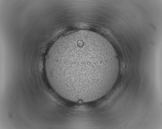 X0000115030259200911091349