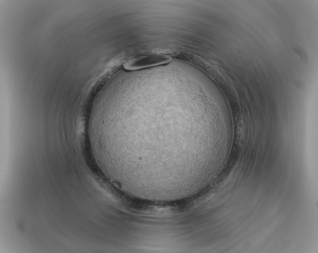 X0000115030260200911091349