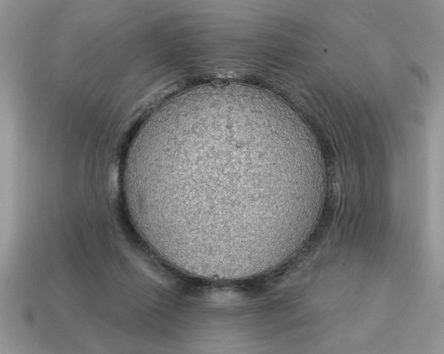 X0000115030262200911091349