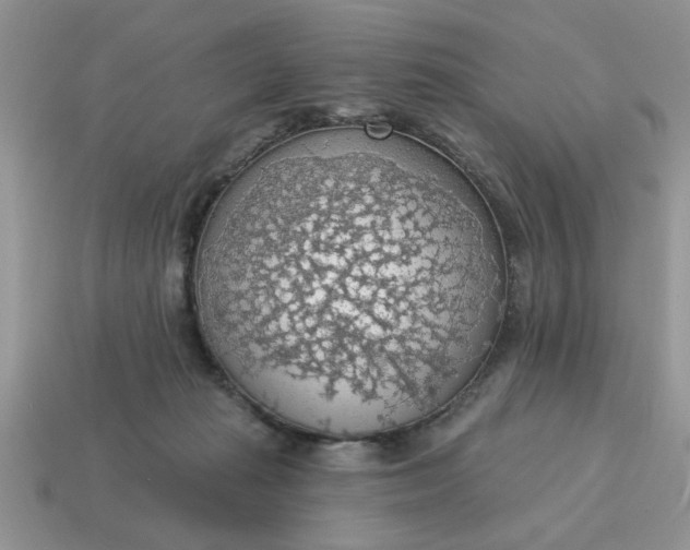X0000115030269200911091349
