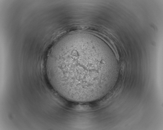 X0000115030270200911091349