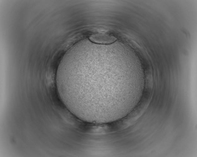 X0000115030274200911091349