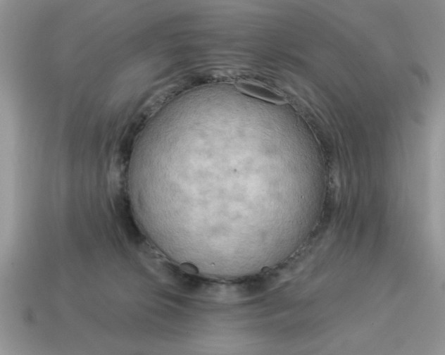 X0000115030276200911091349