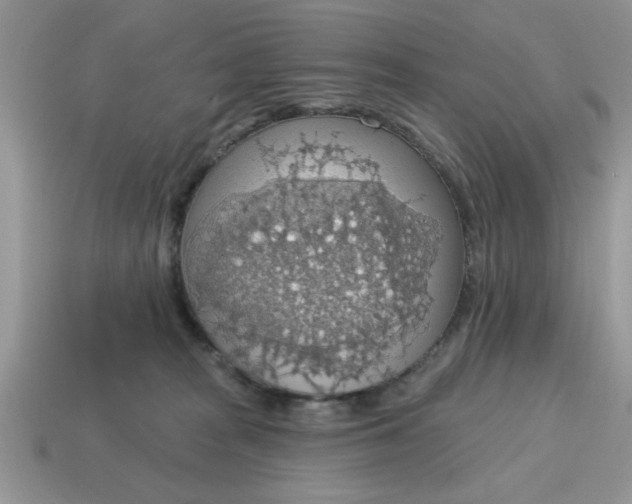 X0000115030277200911091349