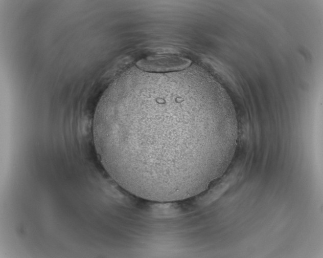 X0000115030281200911091349