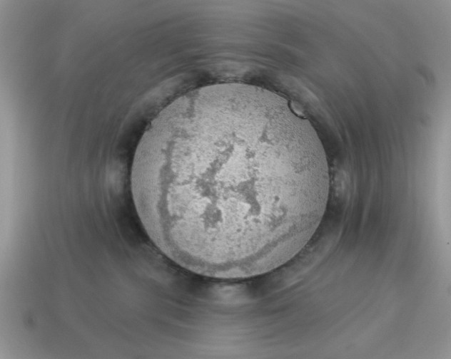 X0000115030283200911091349