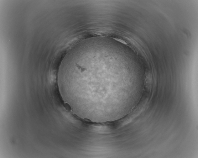 X0000115030284200911091349