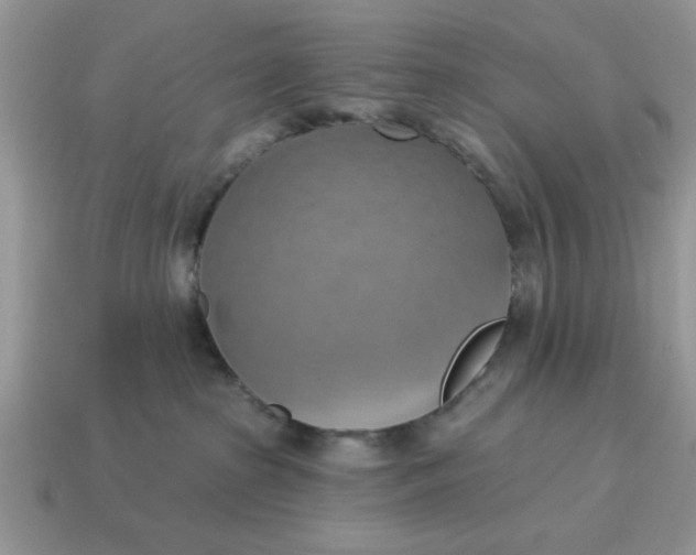 X0000115030285200911091349