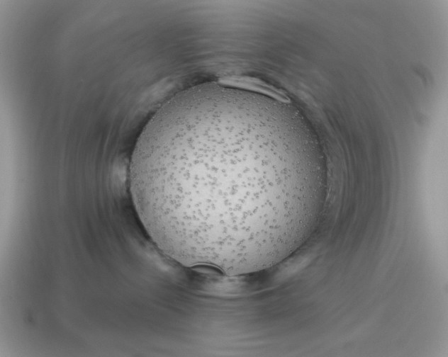 X0000115030288200911091350