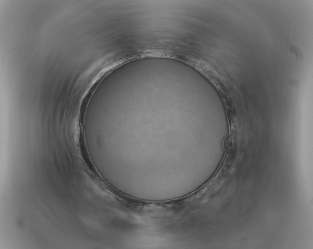 X0000115030290200911091349