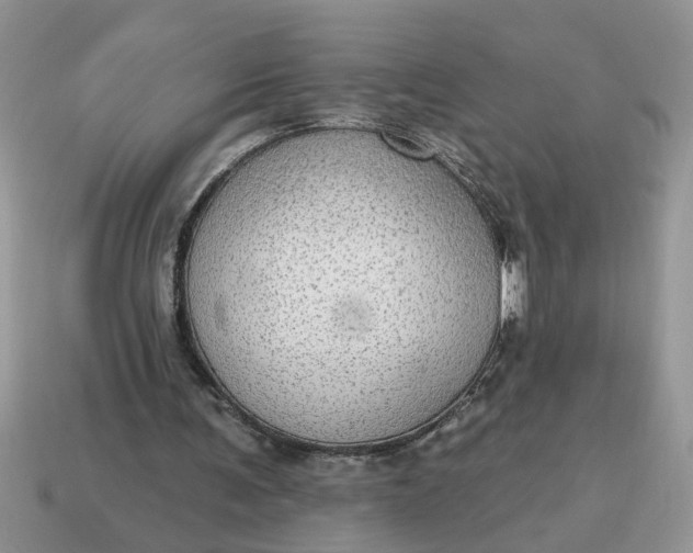 X0000115030291200911091349
