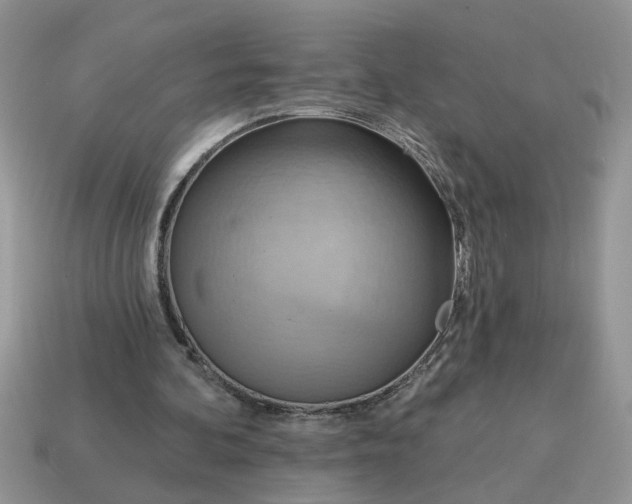 X0000115030292200911091349