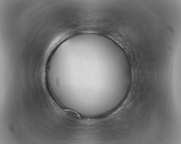 X0000115030293200911091349